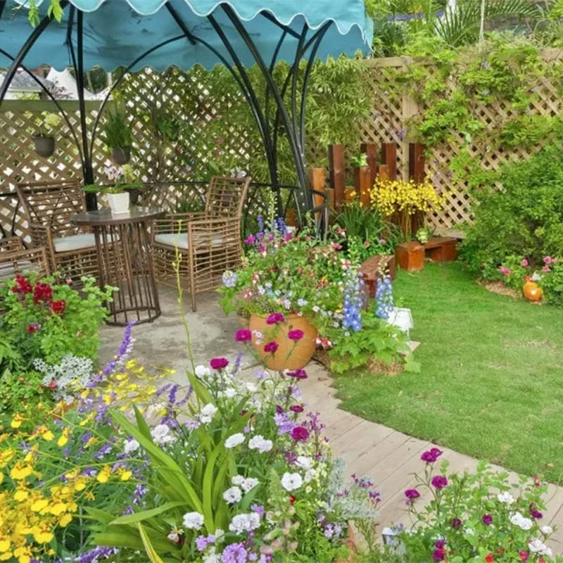 Buy Varieties of Flower Seeds (Pack of 100) + Get FREE Plant Growth Supplement